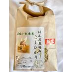 ショッピング若玄米 令和7年産 新米 若玄米 緑玄米 コシヒカリ 若玄米 2ｋｇ 若玄米