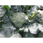  иметь машина культивирование брокколи 1 шт 250g~300g