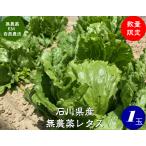 EM природа сельское хозяйство закон нет пестициды lettuce 1 шар [ прохладный отправка ]lettuce