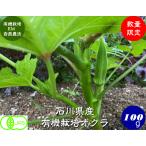  иметь машина культивирование абельмош 100g