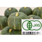  иметь машина тыква ( маленький )1 шт 