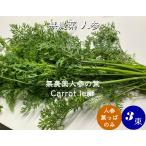  нет пестициды EM сельское хозяйство закон морковь. лист [ лист .. только ][ прохладный отправка ]( морковь )1 пакет 3 пачка (3шт.@)