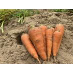  нет пестициды EM сельское хозяйство закон морковь [ лист нет грязь имеется ]( морковь )1 пакет 1kg