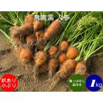  нет пестициды EM сельское хозяйство закон .. есть морковь маленький ..[ лист нет грязь имеется ]( морковь )1 пакет 1kg