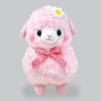 �L�b�Y�A���p�J�b�\���{�� ��������� �ʂ������ �A���p�J �A�~���[�Y �L�����R���X�y�V����