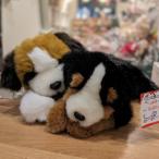 [ неиспользуемый товар ] упаковка не возможно сенбернар Barneys mountain собака kanazawa GUND снят с производства товар [ описание товара . обязательно прочтите пожалуйста ] собака мягкая игрушка 