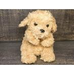  рука марионетка орнамент .....! игрушка пудель собака собака мягкая игрушка животное King dam Take off 