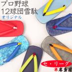 雪駄 履物 サンダル 男物 メンズ プロ