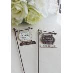 e Skull Beaute pick 5E3670 5E3671