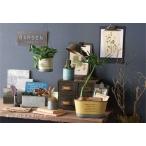  солнечный p белка .te hang PP имеется жестяная пластина pot жестяная пластина горшок садоводство 