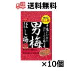 ノーベル 男梅ほし梅 20g(種ぬき) ×10個