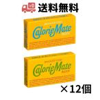 大塚製薬 カロリーメイト ブロック 2本入り 12個セット(バニラ / フルーツ )各味6個ずつ