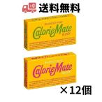大塚製薬 カロリーメイト ブロック 2本入り 12個セット(フルーツ / メープル)各味6個ずつ
