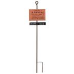  сад pick симпатичный .... растение в горшке Blanc she pick розовый 