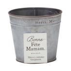  жестяная пластина цветочный горшок pot Junk модный bonn plate Circle (S размер ) серый 