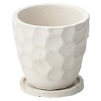 植木鉢 アンティーク風 シンプル プレゼント ドゥースモンサークル（Sサイズ）ホワイト