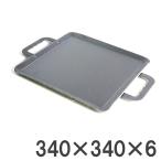 鍛冶屋謹製 調理用 鉄板 レギュラー