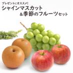  автомобиль in мускат яблоко груша фрукты подарок фрукты фрукты пик соединять можно выбрать внутри емкость подарок .. подарок память день день рождения [BO][ осенний .. комплект A]