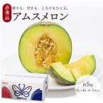 ケース 箱売り アムスメロン 赤秀品 島根 5kg 3L4L 幻のメロン ギフト お中元 お祝い お供え 自宅用 取り寄せ 【BO】[アムスメロン赤秀4〜5玉(ケース)]
