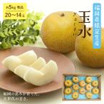 8 месяц сверху ... отправка шар вода груша кейс коробка продажа груша Fukuoka префектура ограниченный выпуск новый товар вид . вода для бытового использования дом для содержание. превосходящий товар бесплатная доставка фрукты фрукты лето [ шар вода груша примерно 5kg(20-14 шар )][BO]