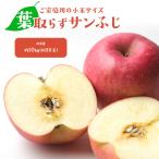  Aomori префектура производство лист брать .. солнечный .... маленький шар примерно 50 шар примерно 10kg яблоко яблоко .. есть перевод перевод есть . для бытового использования . дом для [ лист брать ..10kg][BO]