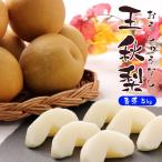  кейс коробка продажа . осень груша ..... нет нет нет есть перевод 5kg мир груша красный груша фрукты фрукты дом для для бытового использования массовая закупка есть перевод [BO][. осень ( кейс ) синий превосходящий 5kg]