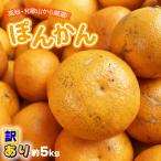 高知県 和歌山県産 [訳あり ぽんかん 5kg M~L] サイズ 柑橘 ポンカン 椪柑 みかん ミカン キズ きず 傷あり 訳アリ ご家庭用 ご自宅用 【BO】