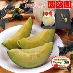 母の日 2021 フルーツギフト 送料無料 静岡県産 メロックス マスクメロンメロン 1玉 入り プレゼント用ギフトボックス 入り