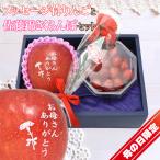 母の日 メッセージ付 りんご & 佐藤錦 さくらんぼ 1玉入 100g カーネーション 2025 フルーツ 果物 ギフト [りんご・佐藤錦 母の日]【MR】