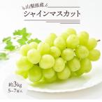 シャインマスカット マスカット ぶどう ブドウ 約3kg 5~7房 山梨 果物 果実 フルーツ ケース販売 ご自宅用 ご家庭用【BO】[シャインマスカット約3kg（5〜7房）]