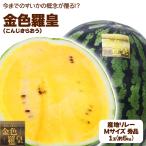[ распродажа ] Yamagata префектура производство др. большой шар ... золотой цвет ..1 шар примерно 5kg M размер желтый цвет ... арбуз запад .. дом для . для бытового использования [BO][SS золотой цвет ..M 1 шар ]