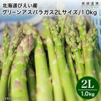 美瑛 アスパラガス びえい産  北海道 美瑛産 露地グリーン アスパラ 2Lサイズ 1kg 500g×2 クール便 5月中旬より発送予定 びえい 取り寄せ 産地直送