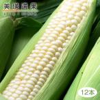 [ предварительный заказ ] Hokkaido JA... прекрасный . выбор . прекрасный .. белый .. просо 1 коробка ( чисто-белый кроме того, Chris pi- белый 1 2 шт ) 8 месяц сверху ... отгрузка начало предположительно прохладный рейс 