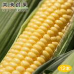 [ предварительный заказ ] Hokkaido JA... прекрасный . выбор . прекрасный .. желтый .. просо 1 коробка ( Gold Rush кроме того, Sunny шоколад 1 2 шт ) 8 месяц сверху ... отгрузка начало предположительно товар вид. выбор . не прохладный рейс 