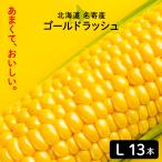 北海道 名寄産 スイートコーン ギフト ゴールドラッシL 13本入り クール便 8月中旬から出荷予定 北海道産 とうきび とうもろこし