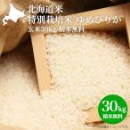白米 送料無料 玄米 30kg お米 30kg 米 30kg 新米 令和6年 北海道米 特別栽培米 ゆめぴりか 玄米 30kg 精米無料 減農薬 2024年産 米30kg