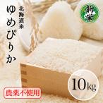 お米 10kg 玄米 白米 送料無料 米10kg 