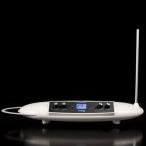 Moog Theremini (送料無料) テルミン/テルミニ (予約受付中)