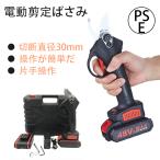 進化版 剪定ばさみ 電動 充電式 コードレス 切断枝径30mm 剪定ばさみ 枝切り 枝切ばさみ 軽量 剪定鋏 枝きりはさみ 電動ハサミ 庭木 女性用 園芸用 2022新品