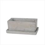 SOLID PLANTER RECTANGLE S PLAIN ����åɥץ�󥿡��쥯���󥰥�ӡ��ץ졼��  ������ ƫ�� ȭ������ȥ� A555-426SPL (S��0240)