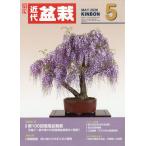  новое время бонсай 2026 год 05 месяц номер 