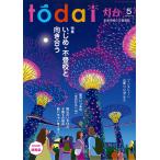  лампа шт. 2026 год 05 месяц номер 