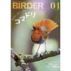 BIRDER ( балка da-) 2026 год 04 месяц номер 