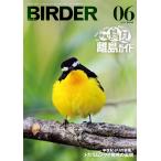  на следующий день отправка *BIRDER ( балка da-) 2026 год 06 месяц номер 
