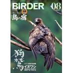 BIRDER ( балка da-) 2026 год 08 месяц номер 