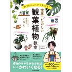 ............! мир один веселый декоративное растение ../...