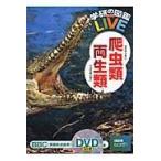 翌日発送・爬虫類・両生類/森哲