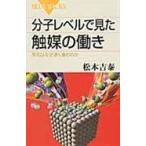  минут . Revell . видел катализатор. ../ Matsumoto ..