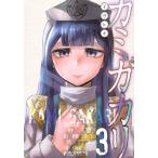  на следующий день отправка *kamigakali3/..hiki