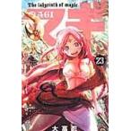  на следующий день отправка * Magi 23/ большой высота .